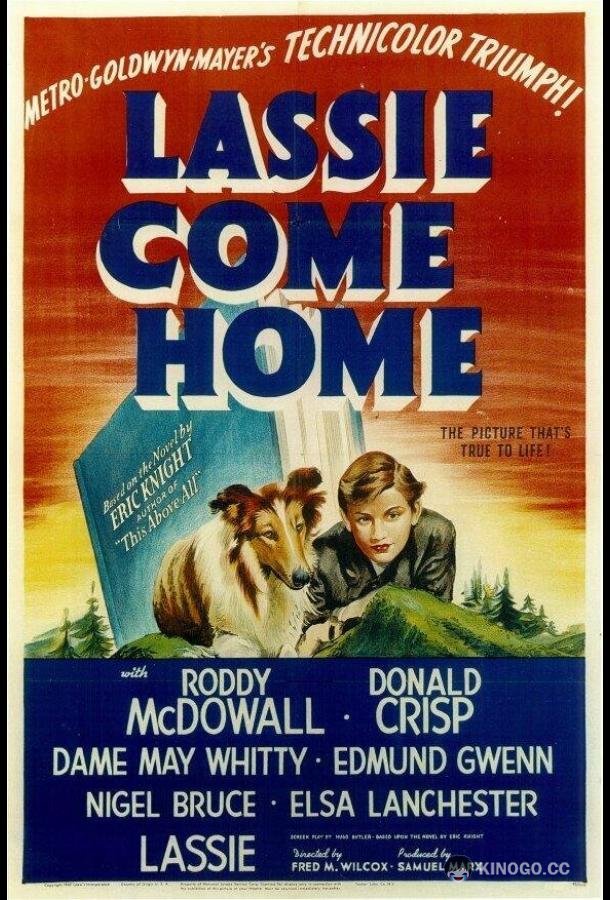 Лесси возвращается домой (1943) 