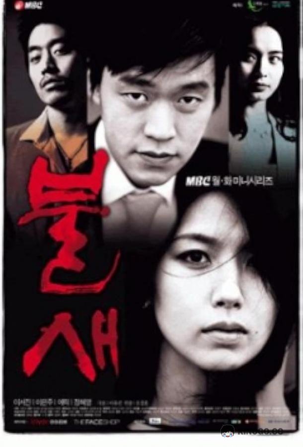 Феникс (2004) 1 сезон 26 серия