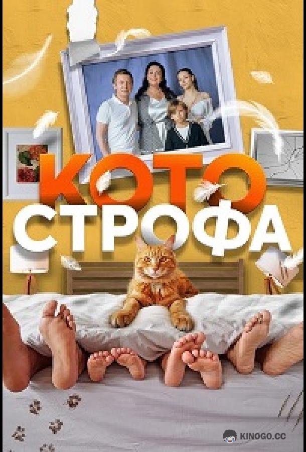 Котострофа