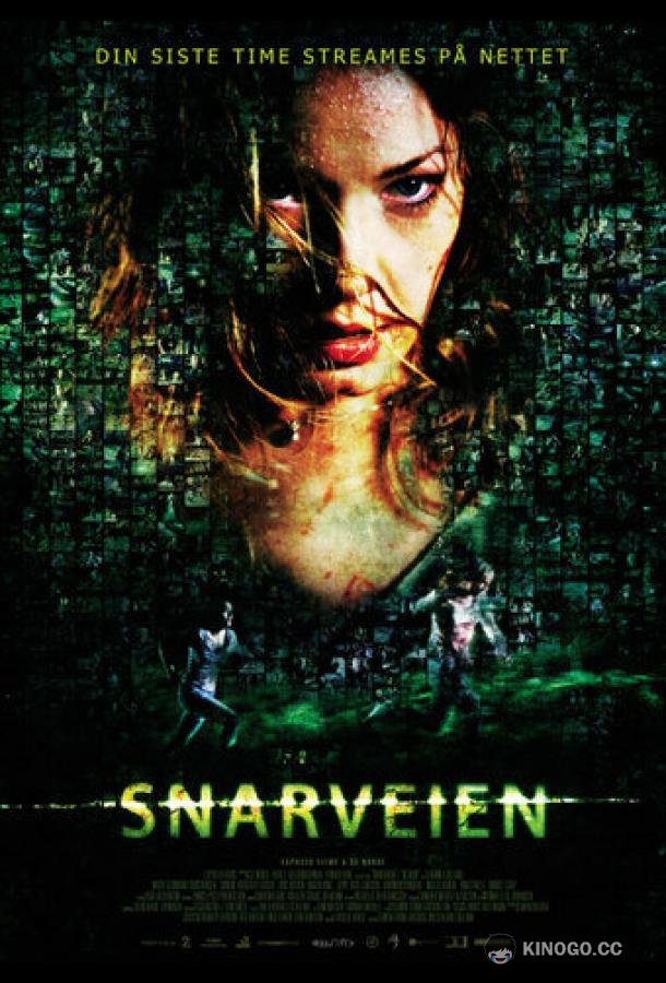 Объезд (2009) 