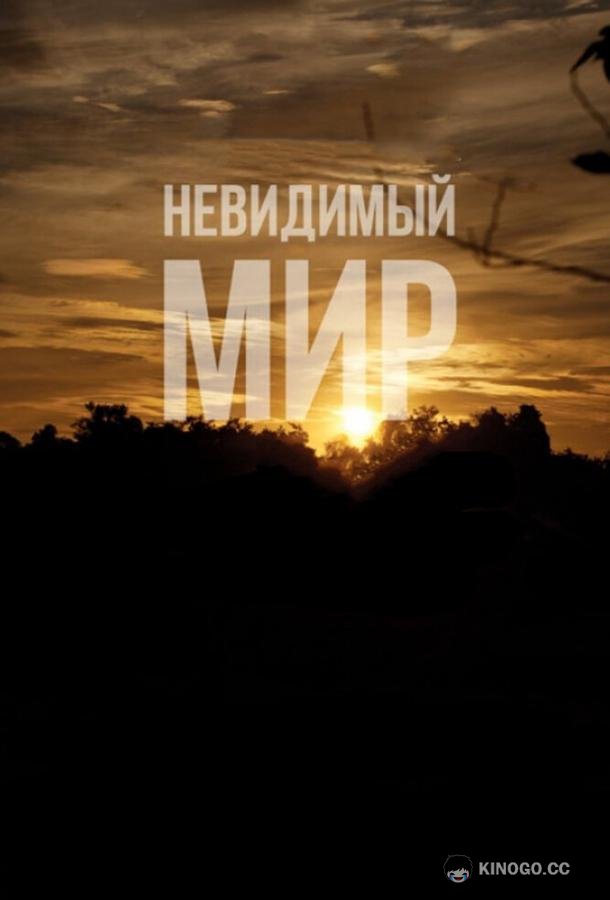 Невидимый мир (2012) 