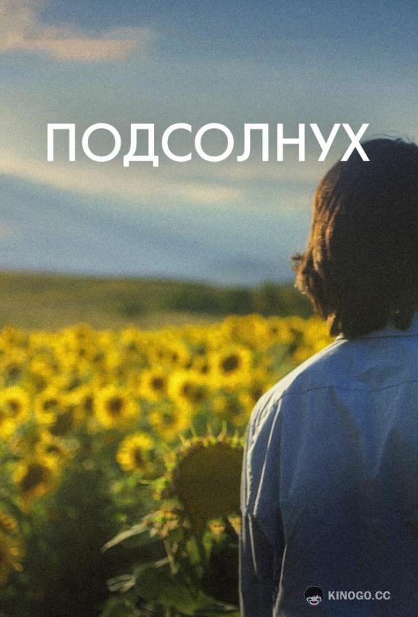 Подсолнух (2023) 