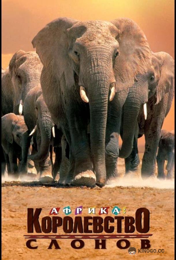 Африка — королевство слонов (1998) 