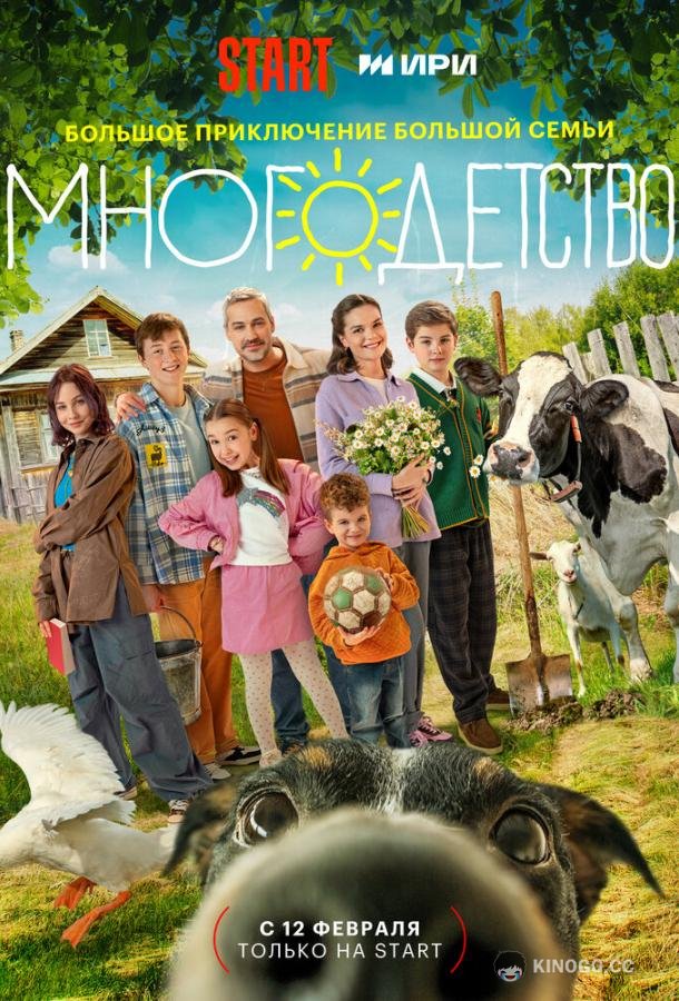 Многодетство (2024) 1 сезон 20 серия