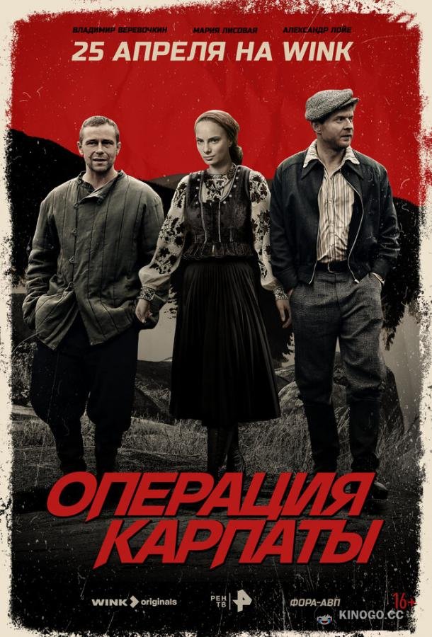 Операция «Карпаты» (2024) 2 сезон 8 серия