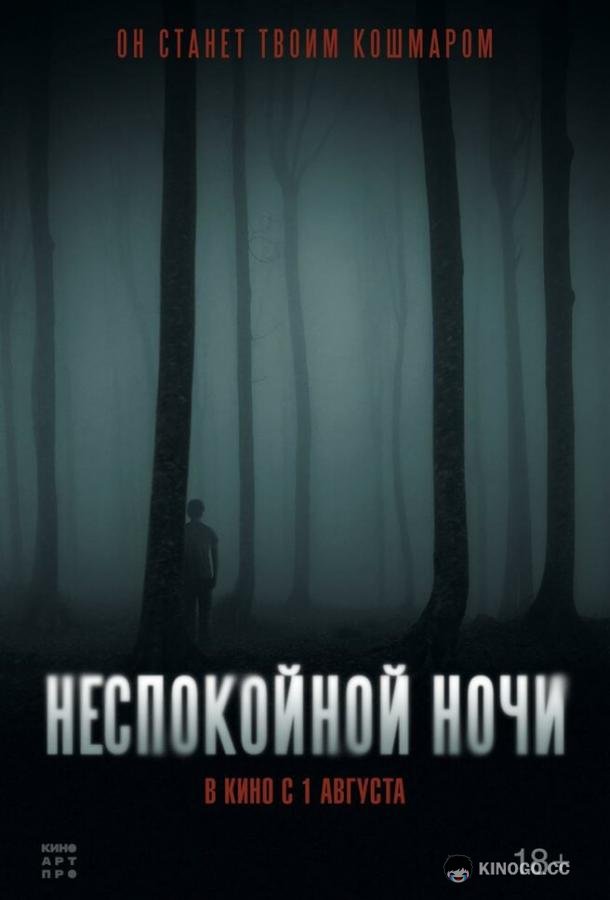 Неспокойной ночи