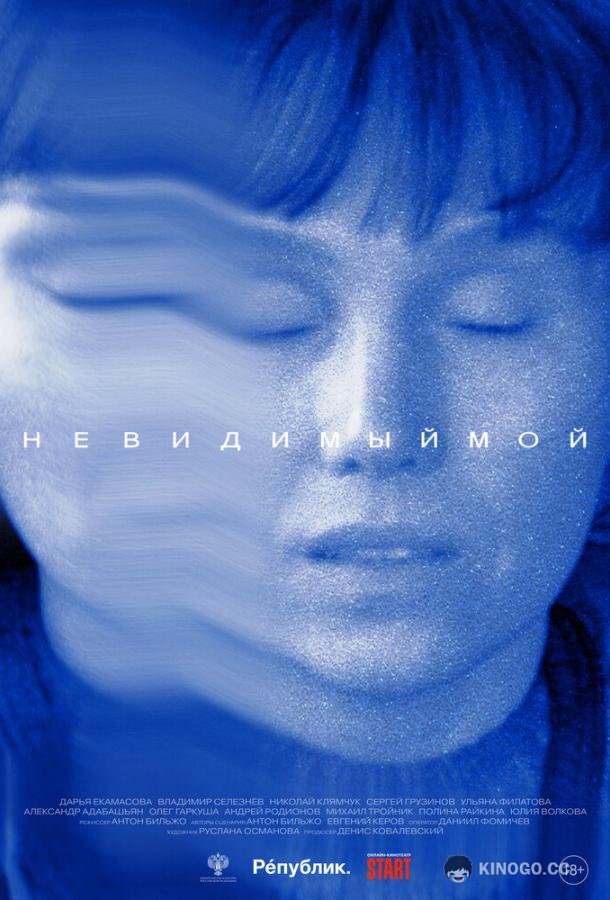 Невидимый мой