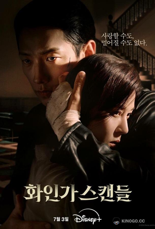 Красный лебедь (2024) 1 сезон 10 серия