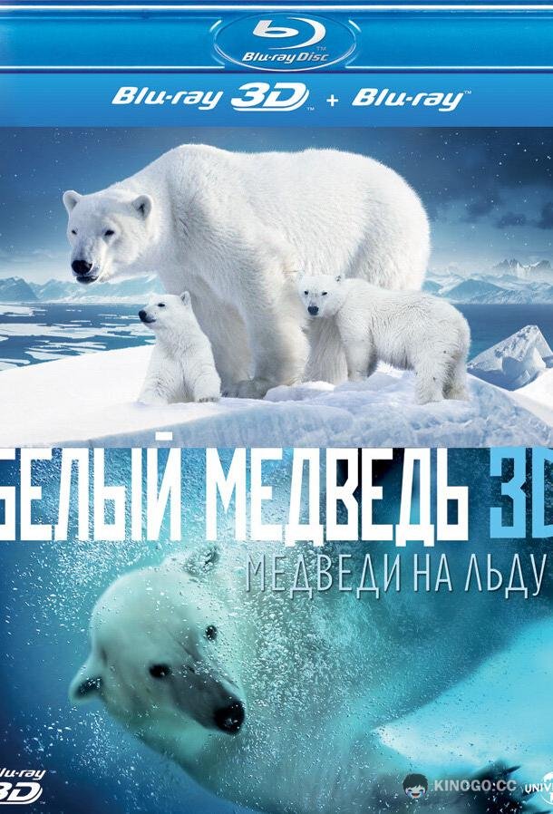 Полярные медведи