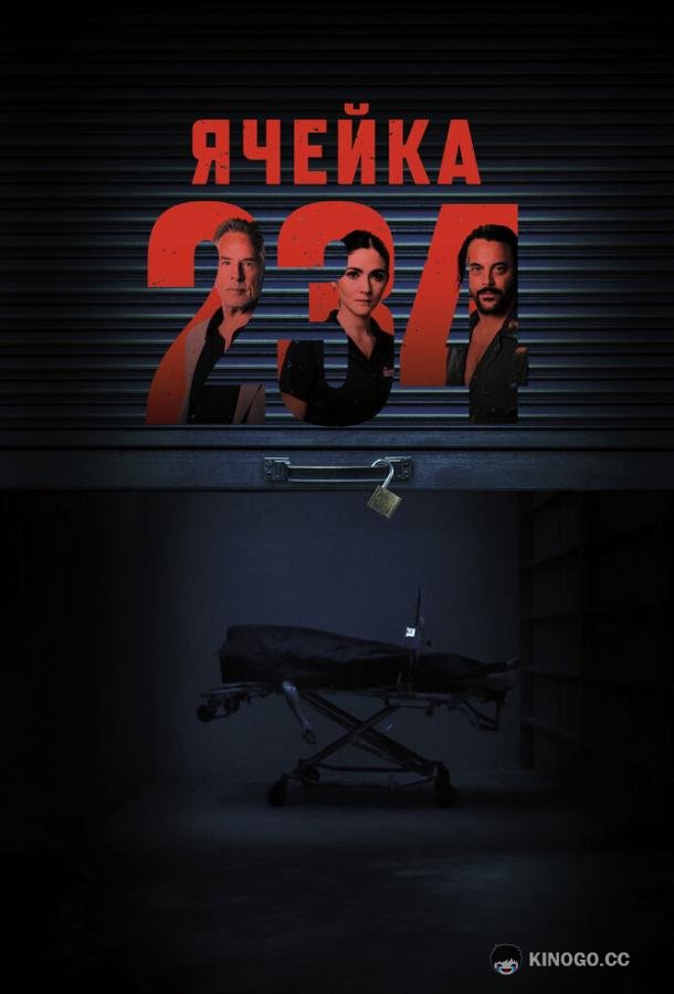Ячейка 234