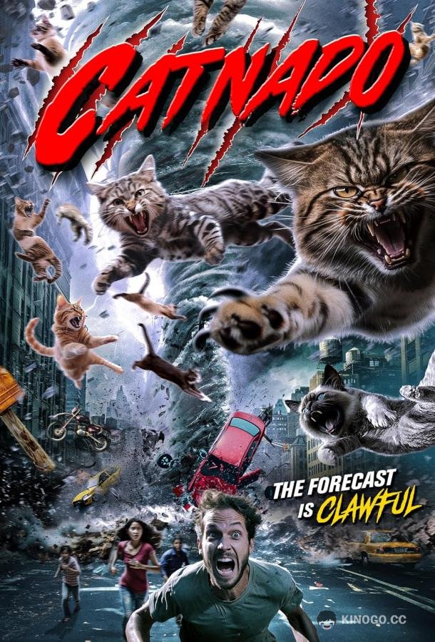 Кошачий торнадо (2022) 