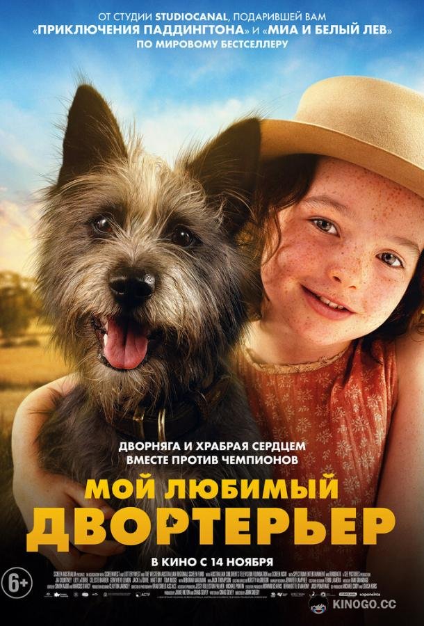 Мой любимый двортерьер (2024) 
