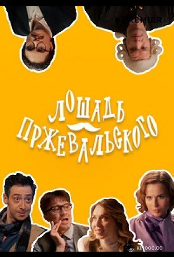 Лошадь Пржевальского (2025) 1 сезон 8 серия