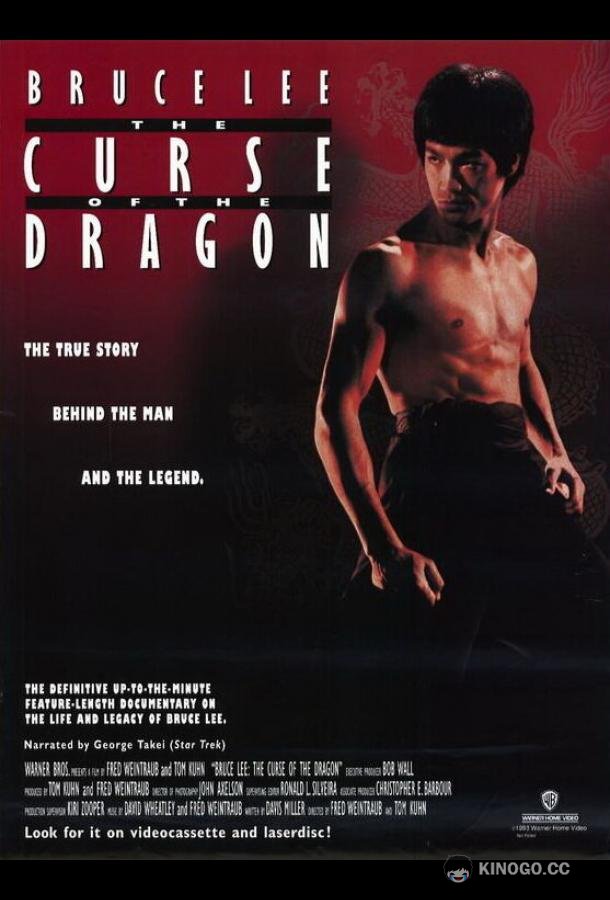 Проклятье дракона (1993) 