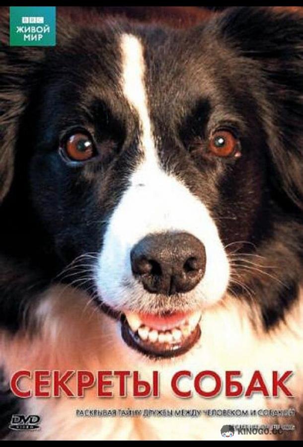 BBC: Секреты собак (2010) 1 сезон 3 серия