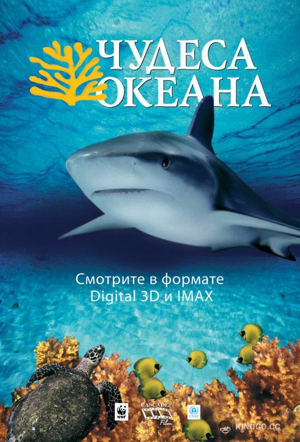 Чудеса океана 3D (2003) 