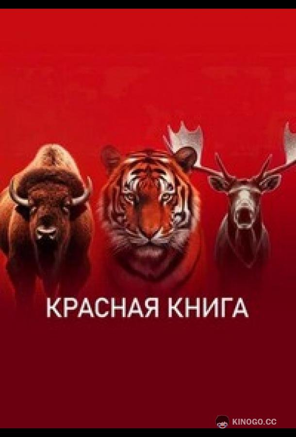 Красная книга (2022) 1 сезон 4 серия