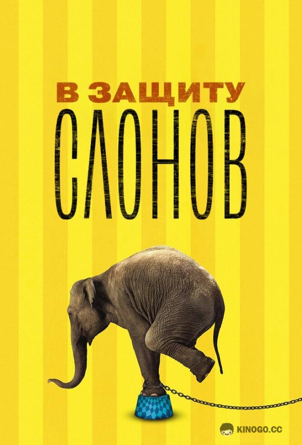 В защиту слонов (2013) 