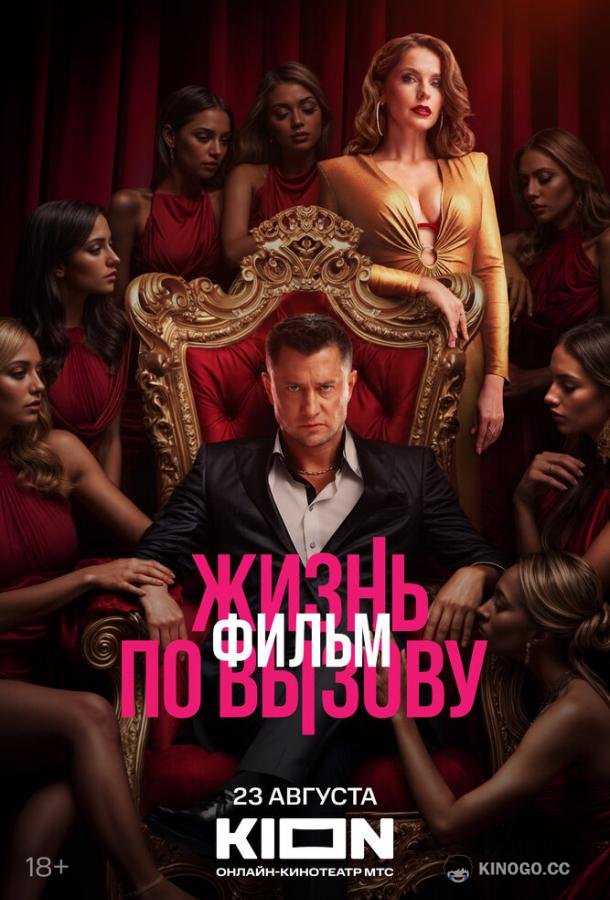 Жизнь по вызову. Фильм (2025) 