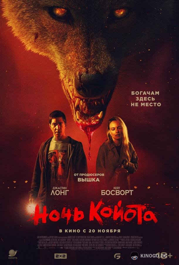 Ночь койота