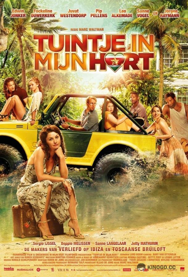 Дом там, где сердце (2017) 