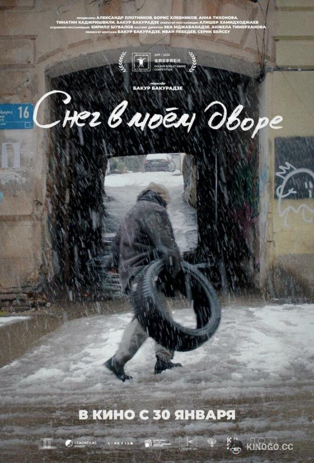Снег в моём дворе (2024) 