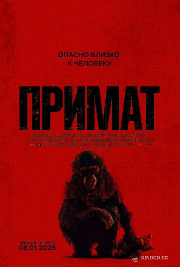 Примат