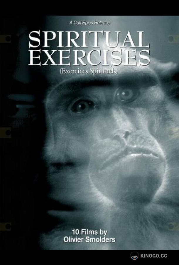 Любитель (1996) 