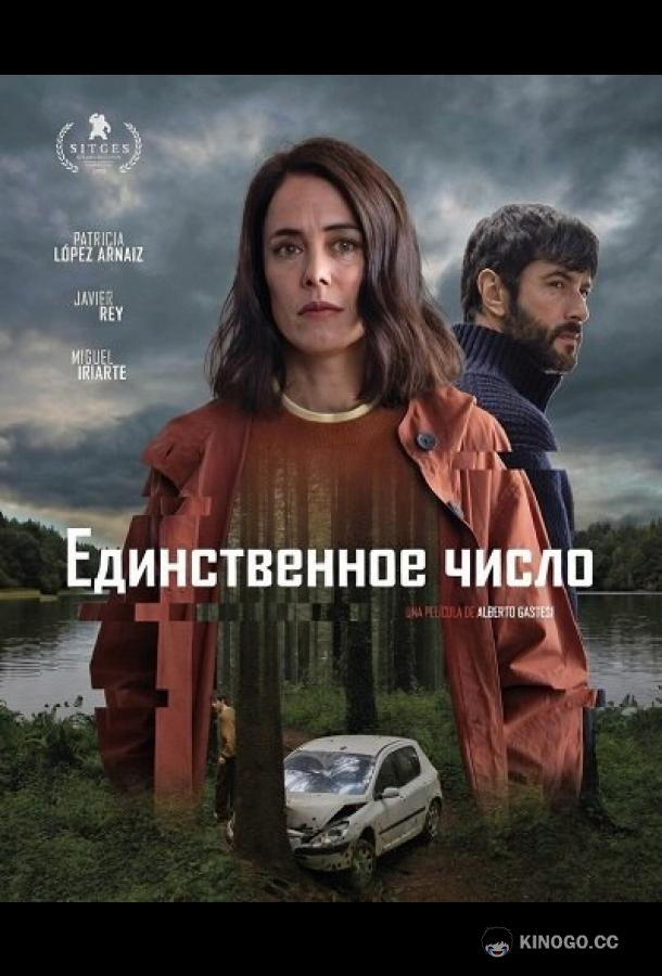 Единственное число