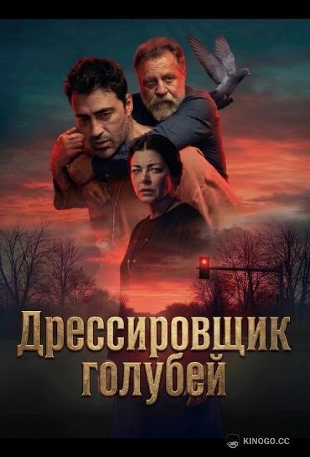 Дрессировщик голубей