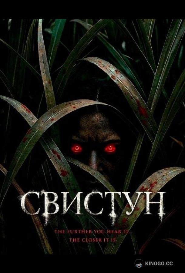 Свистун