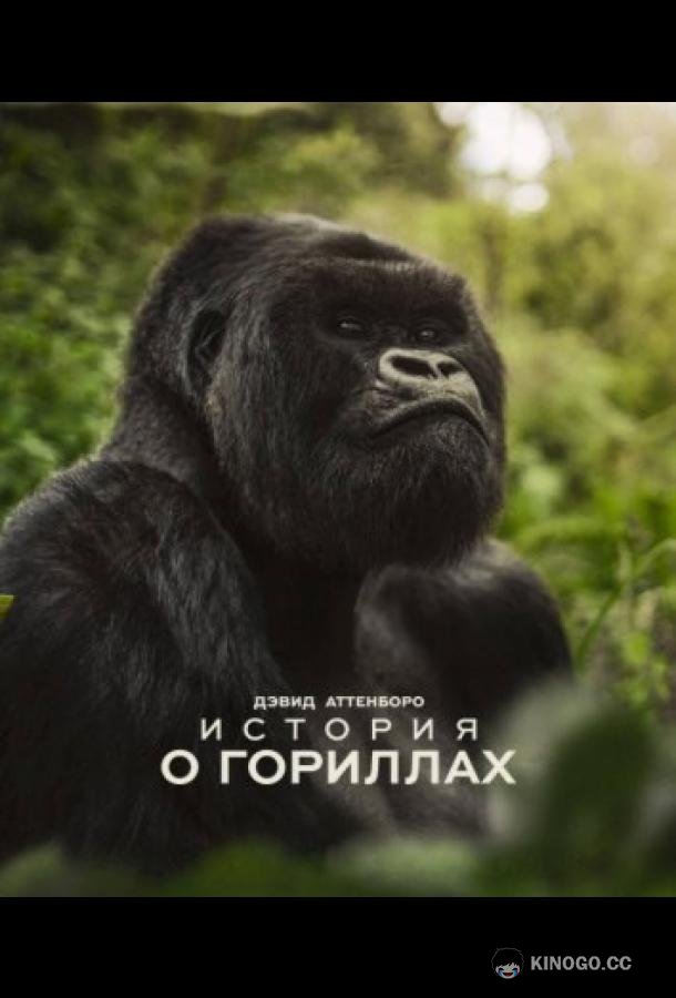 Дэвид Аттенборо. История о гориллах (2026) 