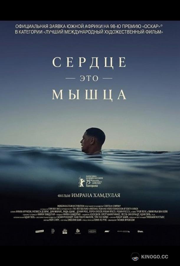 Сердце — это мышца