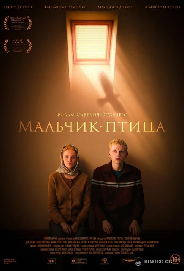 Мальчик-птица