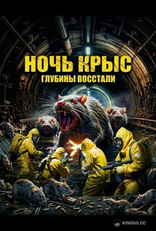 Ночь крыс
