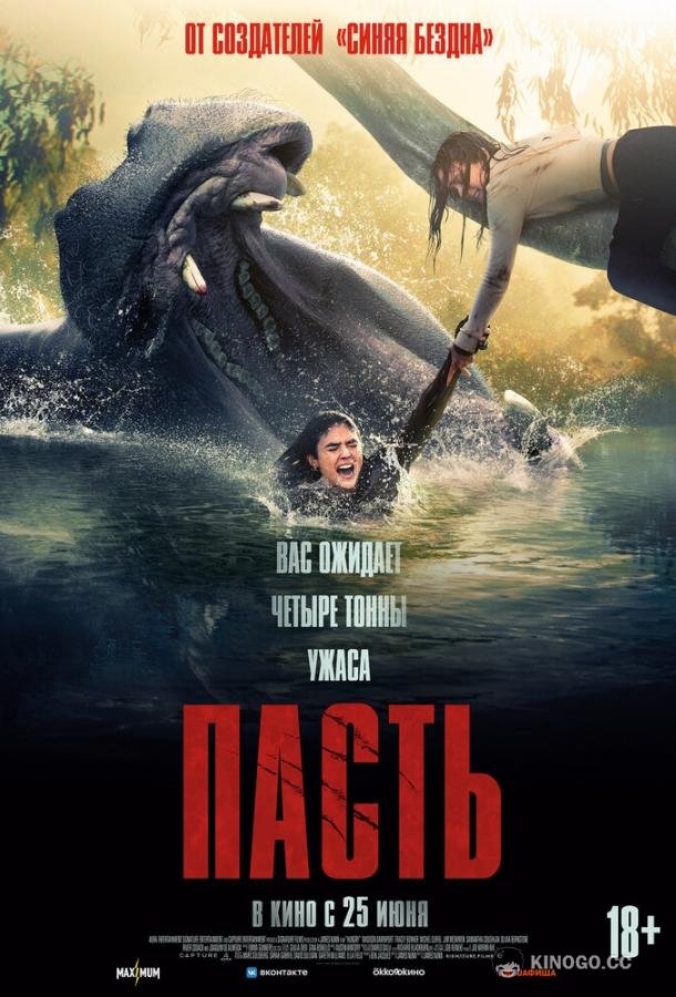 Пасть