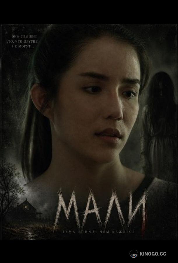 Мали (2025) 