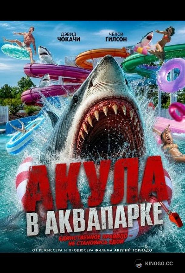 Акула в аквапарке