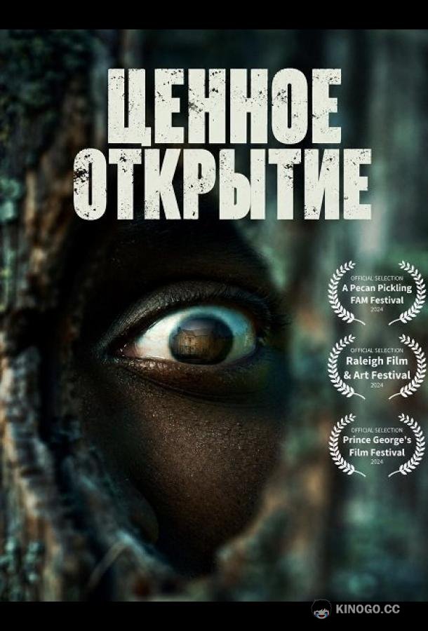 Ценное открытие (2026) 