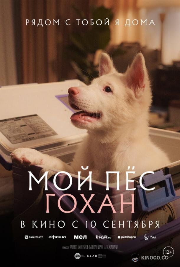 Мой пёс Гохан