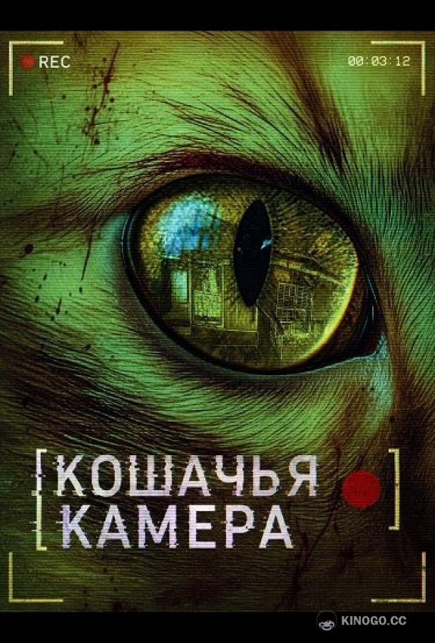 Кошачья камера (2026) 